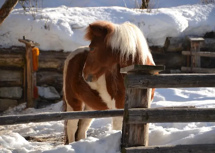 Haus Am Wiesenweg * Sankt Jakob in Defereggen