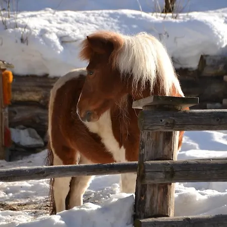 Haus Am Wiesenweg * Sankt Jakob in Defereggen