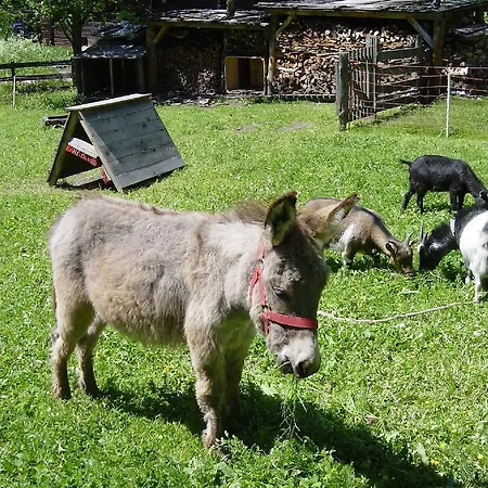 Haus Am Wiesenweg Pensión